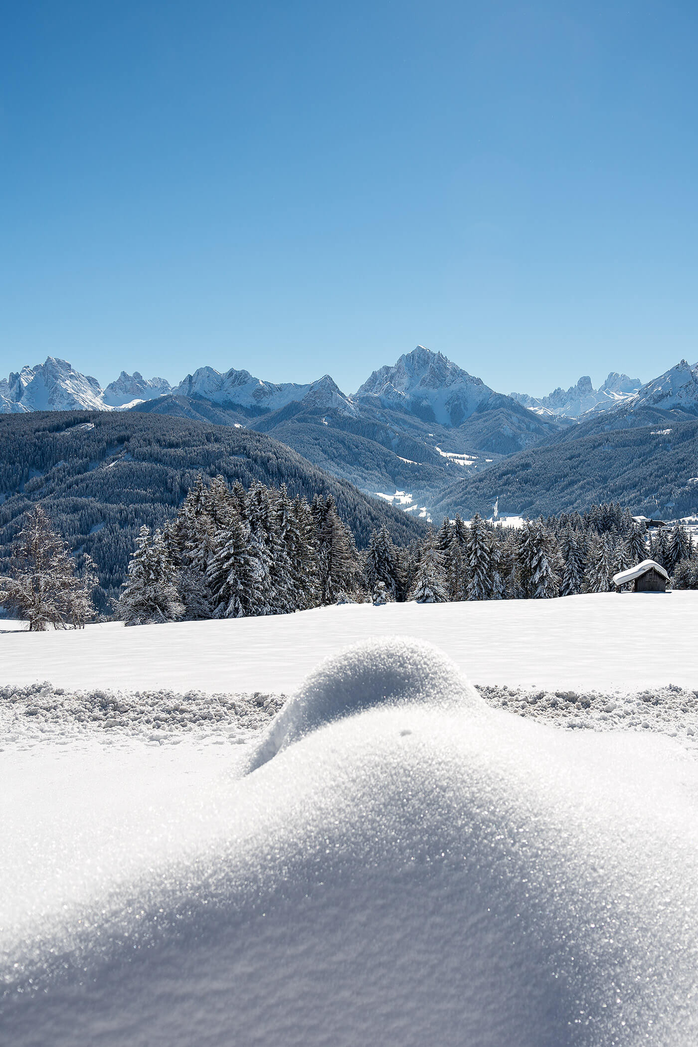 Schneebedeckte Landschaft mit Kiefern, Bergen und einem klaren blauen Himmel an einem sonnigen Wintertag. - Ansitz Toldt Dolomites Village