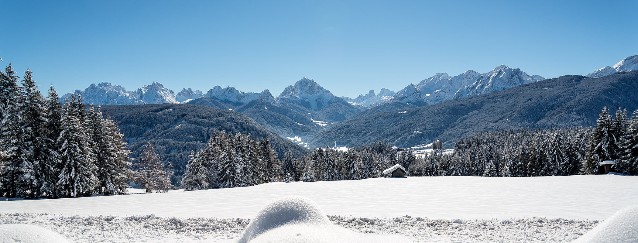 Schneebedecktes Feld mit Kiefern vor entfernten Bergen unter einem klaren blauen Himmel. - Ansitz Toldt Dolomites Village
