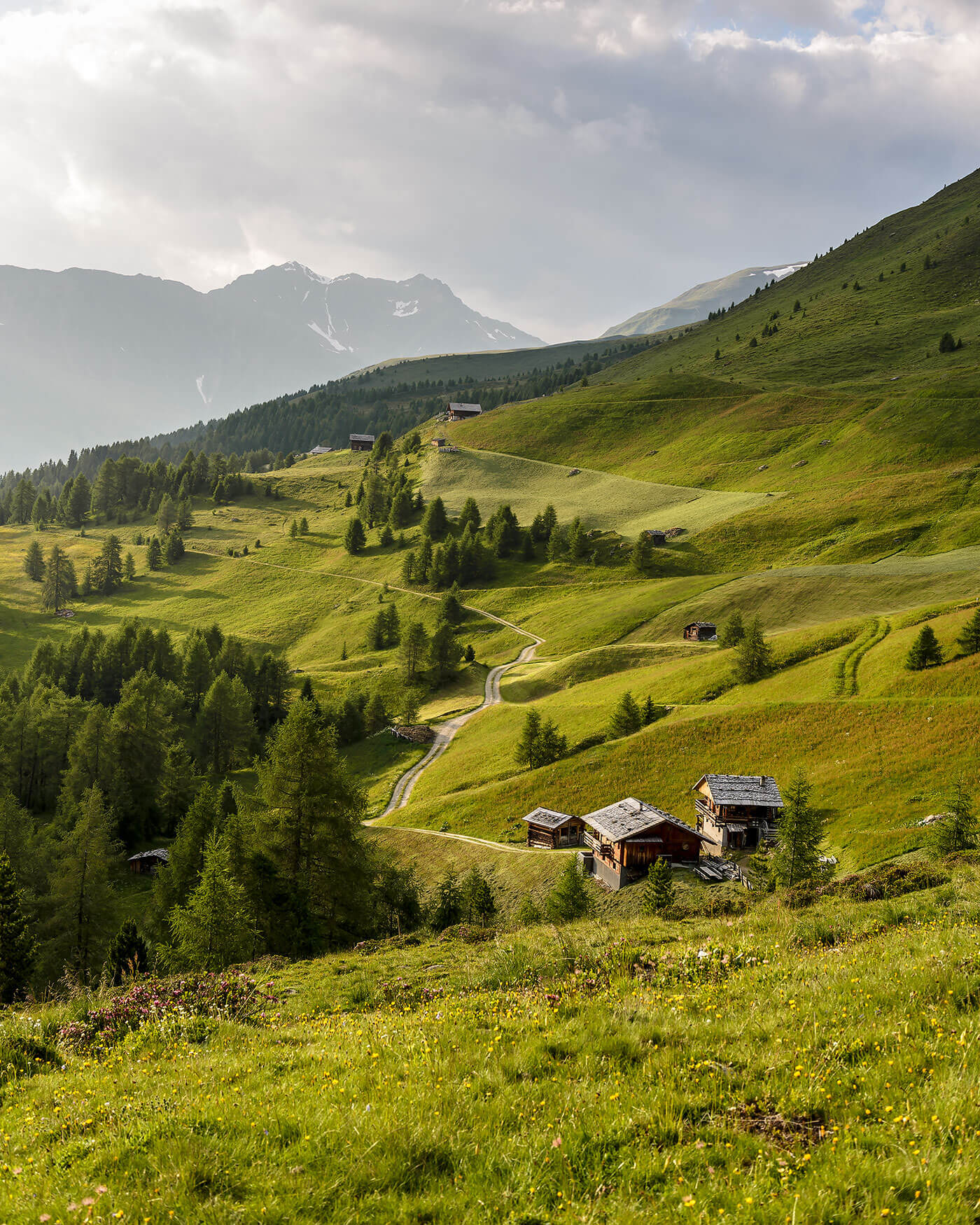 Sanfte grüne Hügel mit verstreuten Holzhütten, gewundenen Wegen, Bäumen und fernen Bergen unter einem wolkenverhangenen Himmel. - Ansitz Toldt Dolomites Village
