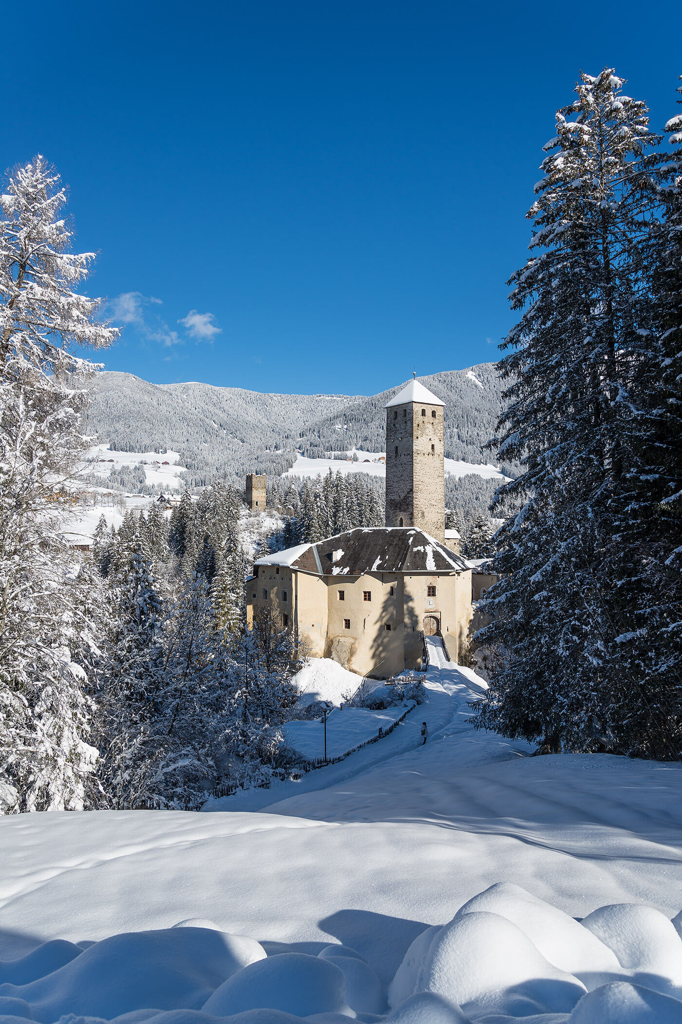 Ein schneebedecktes Schloss, umgeben von hohen Kiefern und Bergen unter einem strahlend blauen Himmel. - Ansitz Toldt Dolomites Village