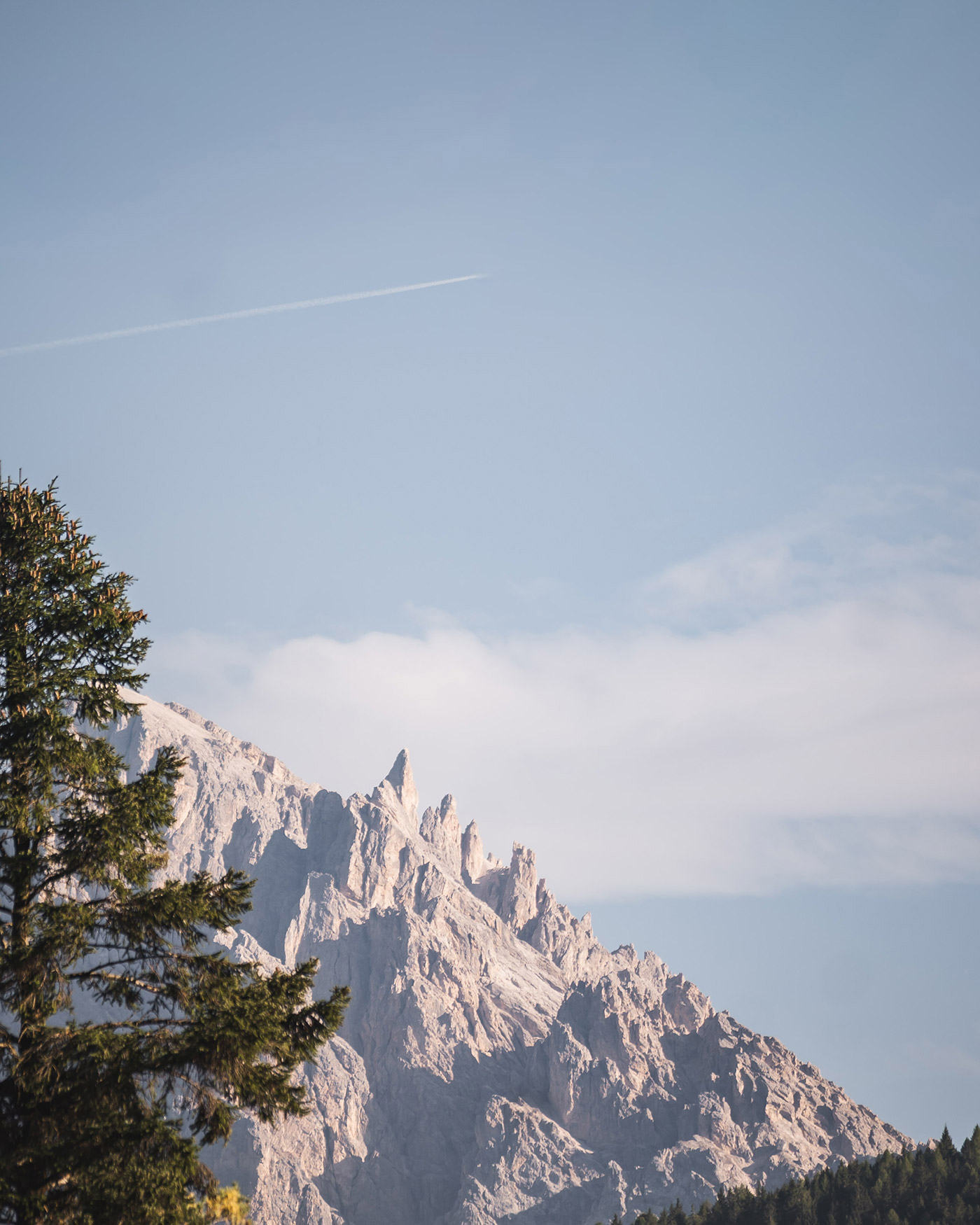 Schneebedeckte Berggipfel unter blauem Himmel mit einem Baum im Vordergrund und einem schwachen Flugzeugschweif darüber. - Ansitz Toldt Dolomites Village