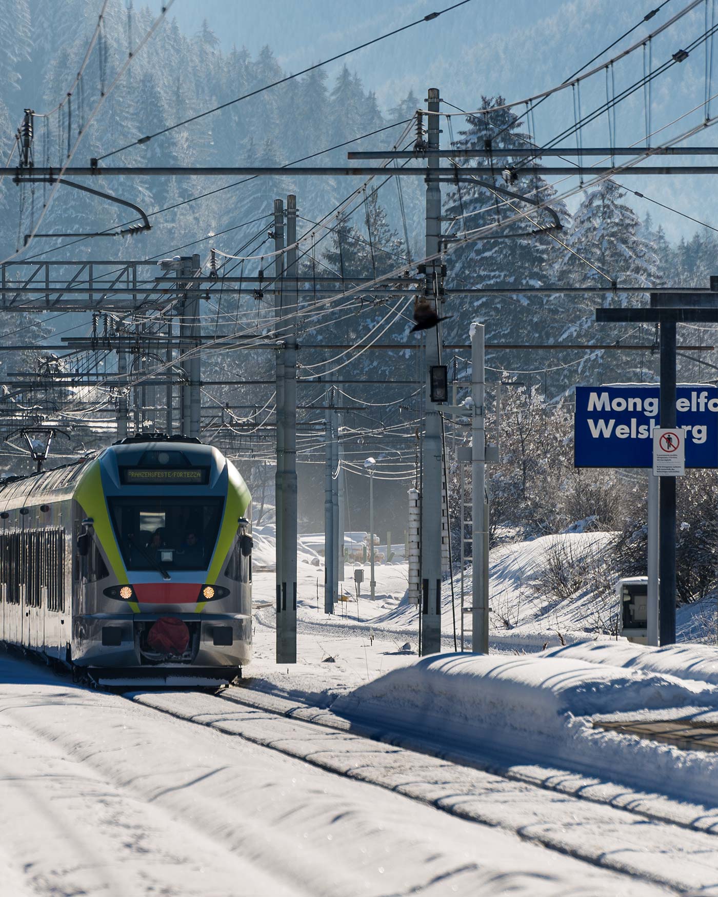 Ein moderner Zug fährt in einen verschneiten Bahnhof namens Monguelfo-Welsberg ein, der von Bäumen und Bergen umgeben ist. - Ansitz Toldt Dolomites Village