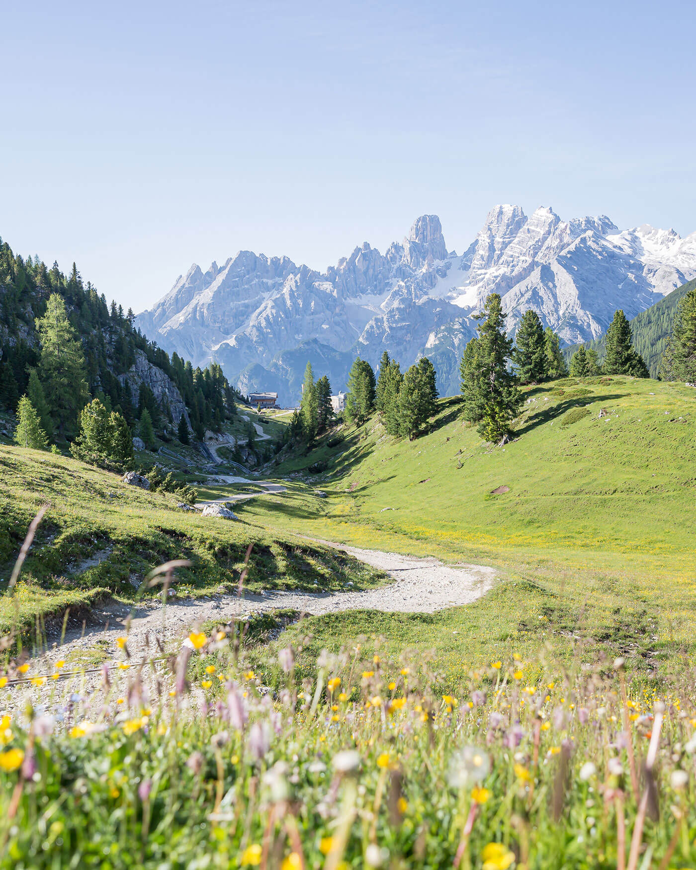 Berglandschaft mit einem gewundenen Pfad, grünen Wiesen, Wildblumen, Kiefern und schneebedeckten Gipfeln in der Ferne. - Ansitz Toldt Dolomites Village