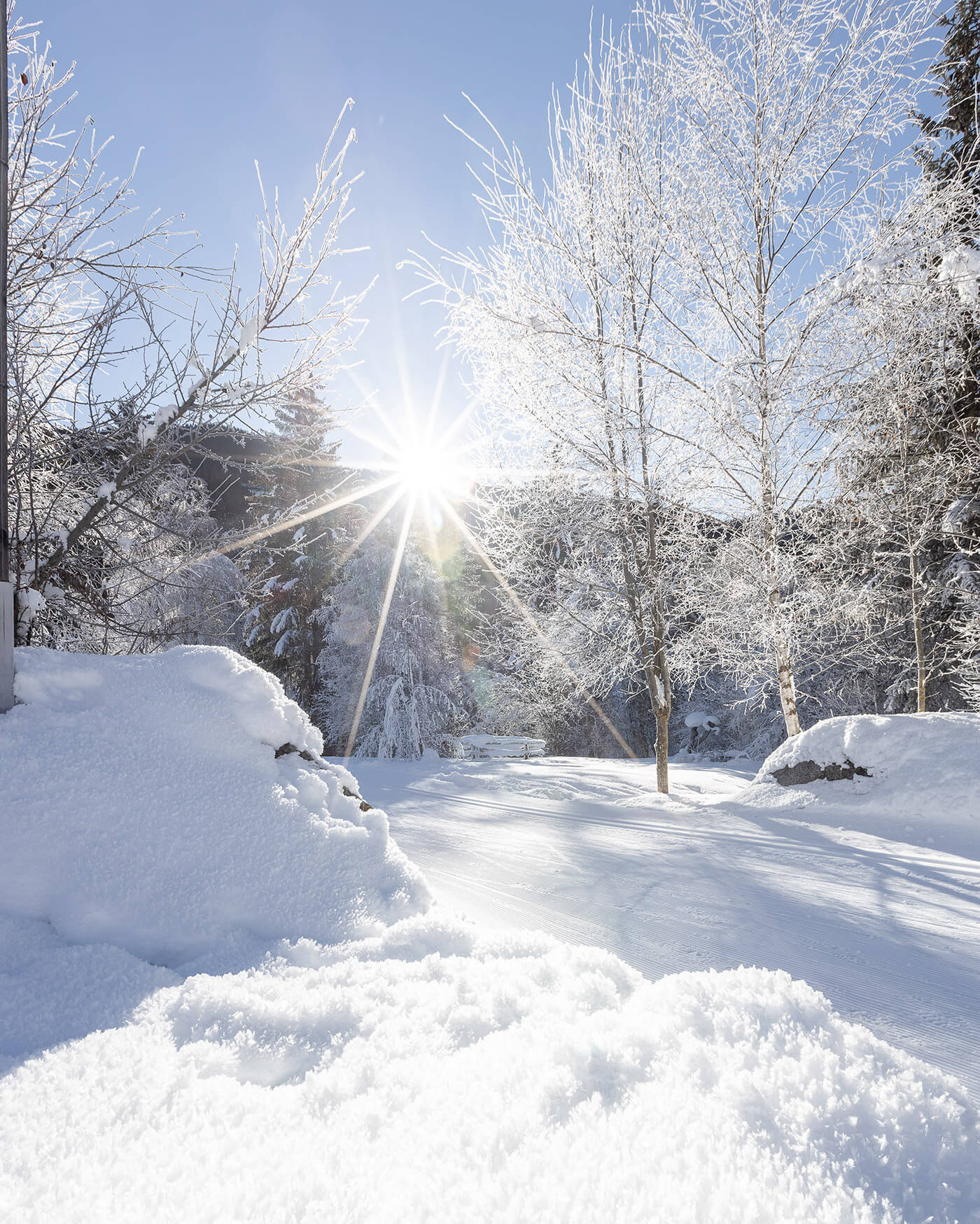 Schneebedeckte Bäume und Boden mit heller Sonne, die an einem klaren Wintertag durch die Zweige scheint. - Ansitz Toldt Dolomites Village